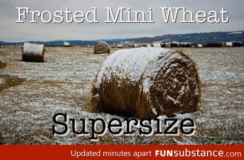 Frosted Mini Wheat