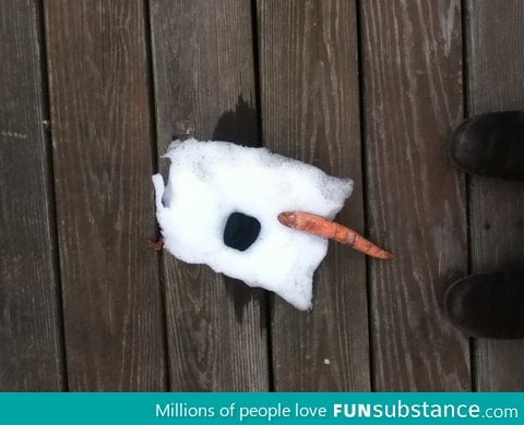 My 1 year old cousin tried to makea snowman....