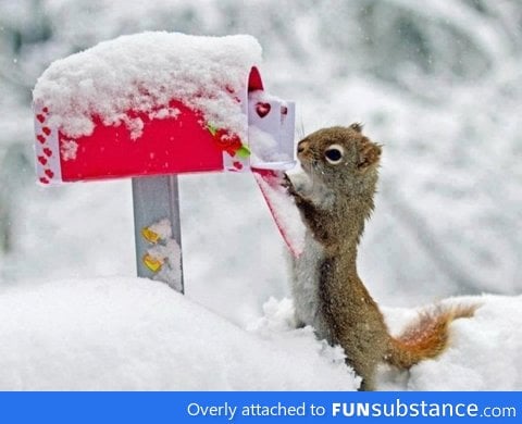 checking your mail while it snow