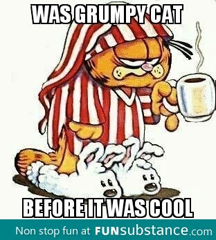 Hipster Garfield