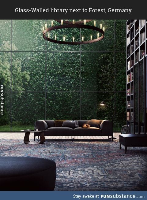 Library and nature separated by a glass wall
