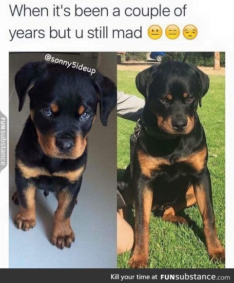 What is he so mad about?
