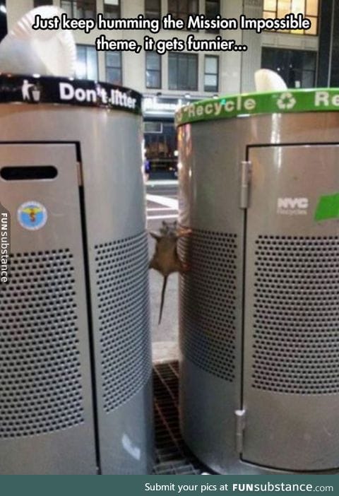 Little guy is on a mission