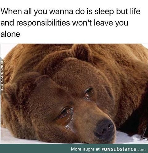 Me irl
