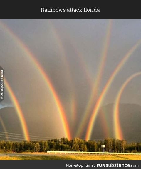 Rainbow farm