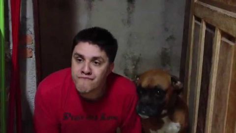 Guy mimics his dog, dog accepts guy as fellow dog