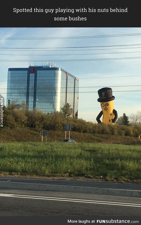 This guy playing with his nuts