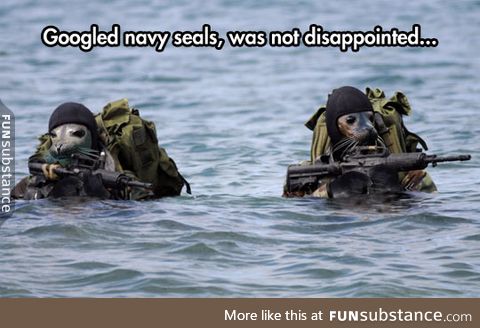 Real Navy Seals