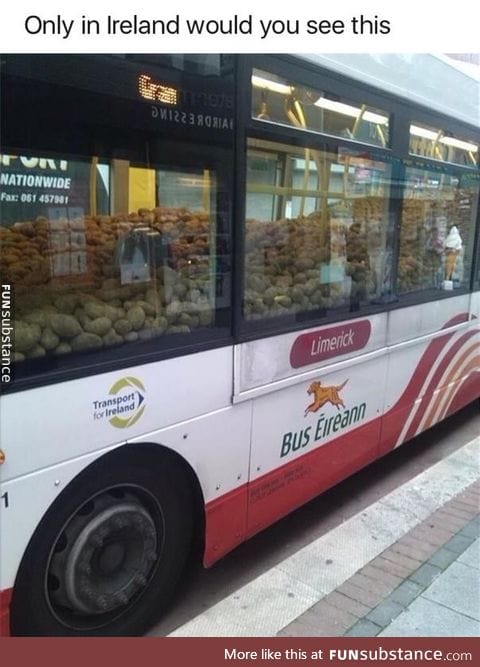 Potato bus