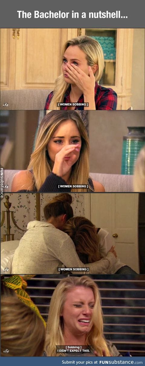 The Bachelor in a nutshell