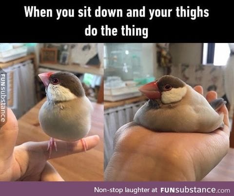 Everytime I sit down