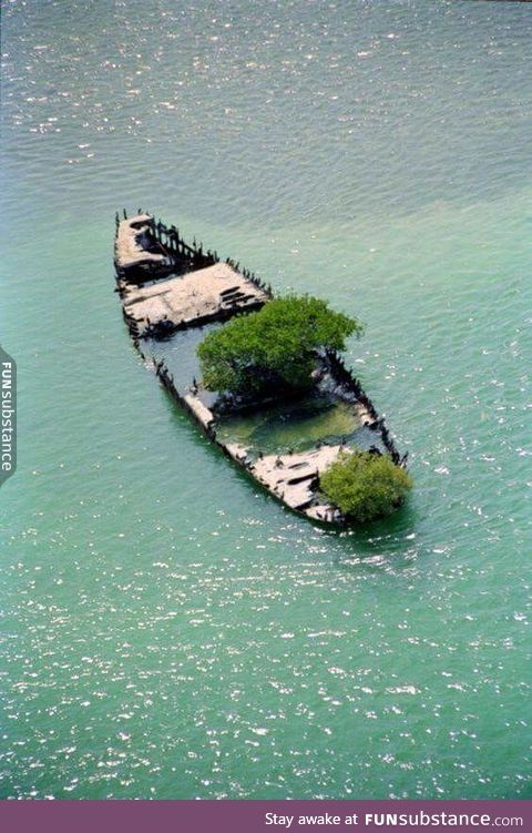Ship turning into an island