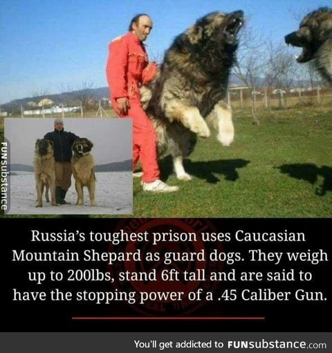 Just russian things