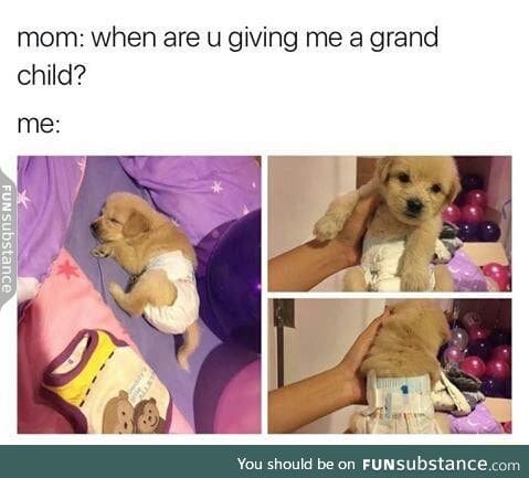 Your new grand child