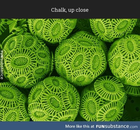 Microscopic view of a chalk