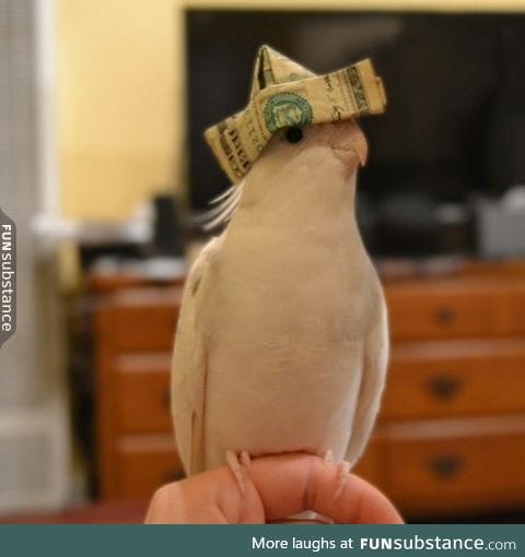 Updoot money bird and recieve countless moniez in the next 3 days