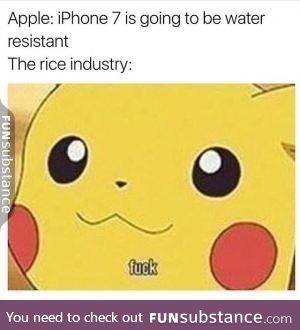 Rice industry