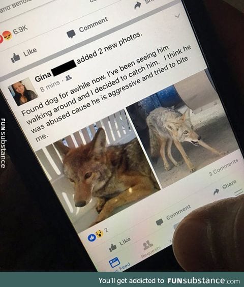 This person's aunt caught a coyote