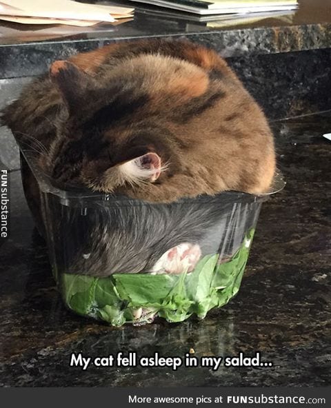 Such a cozy salad
