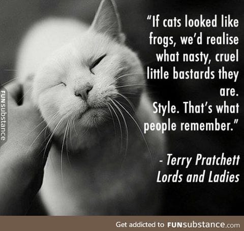 If cats looked like frogs