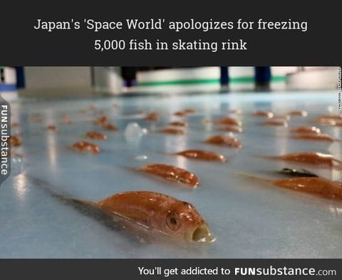 Japan's 'Space World' apologizes for freezing 5,000 fish in skating rink