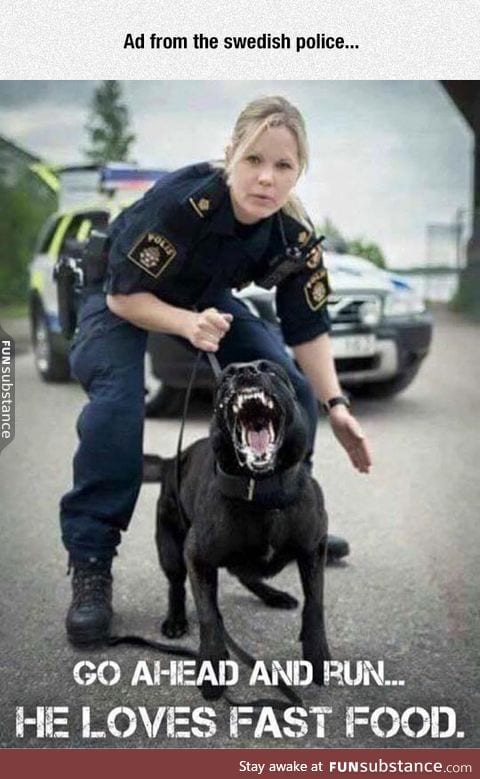 Swedish Police Doesn't Mess Around