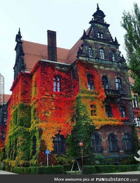 National Museum in Wrocław, Poland