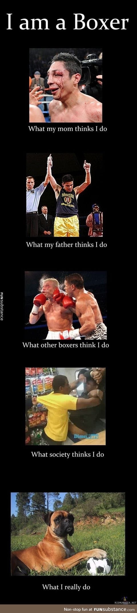 Life as a boxer