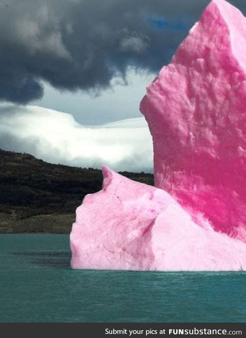 A pink iceberg formed by algae and UV rays