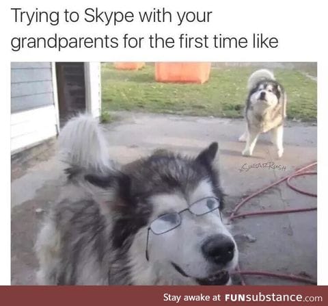 Skyping grandparents