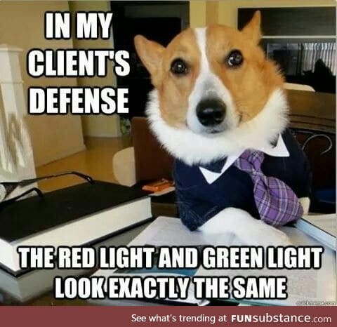 Lawyer doge