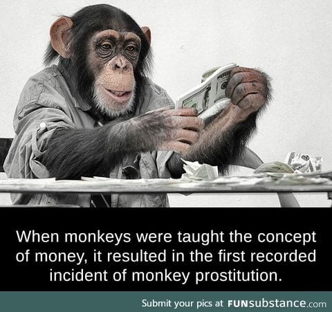 Monkey business