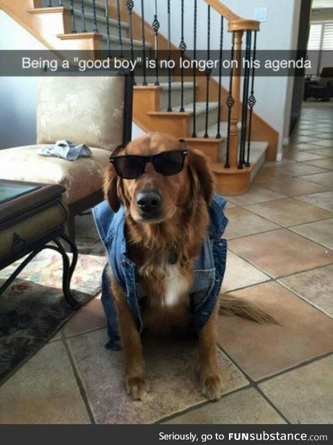 Bad to the bone