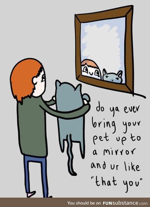 Have you ever done this with your pet?