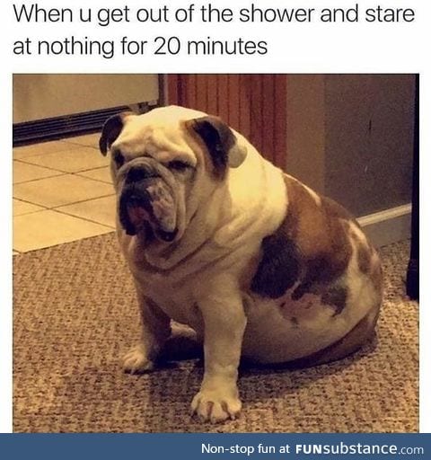 Fat doggo