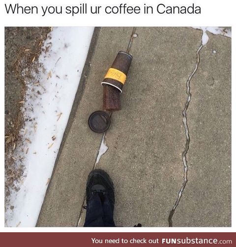 Can a Canadian pls confirm