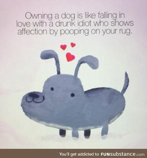 Owning a dog