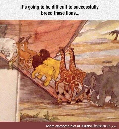 Noah's Ark Overlooked Problem