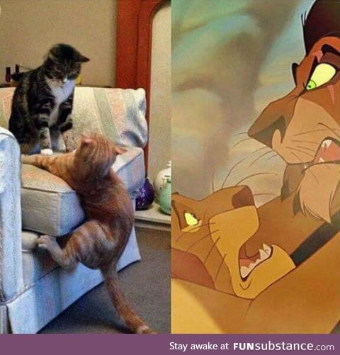 Scar and mufasa in real life