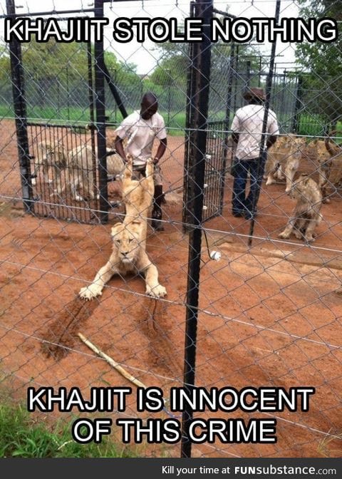 Khajiit will remember that he has been wronged