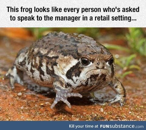 Grumpy frog