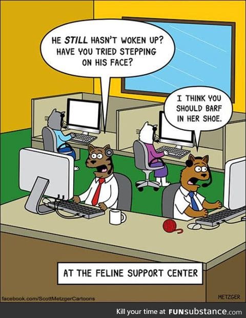 Cat support center