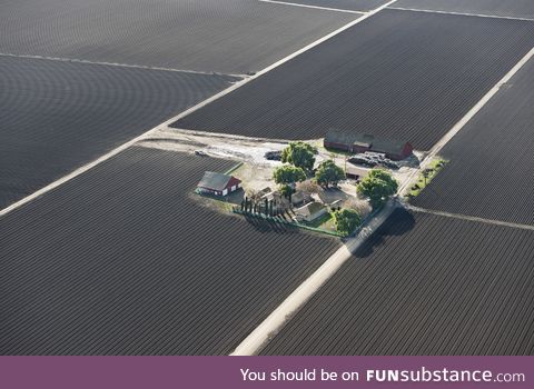 A farm