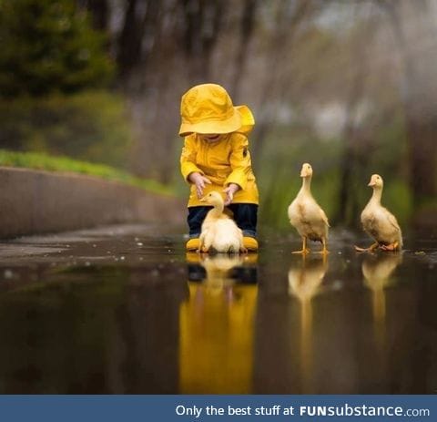 A boy with his ducks