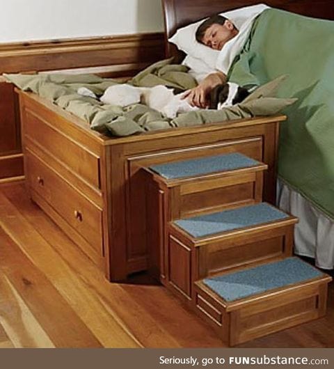 The perfect bed for your dog