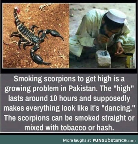 Smoking scorpions