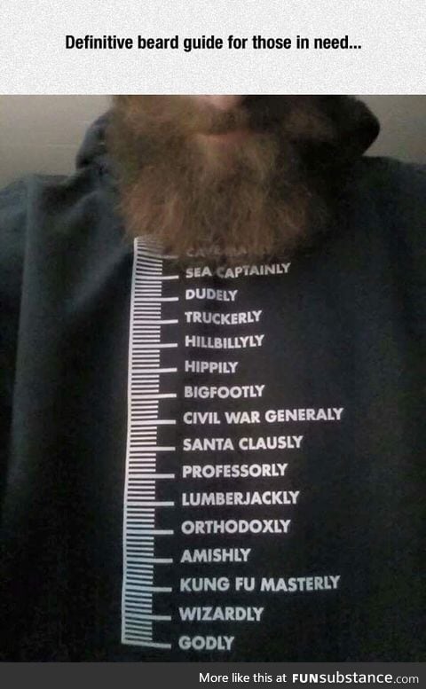 Beard guide