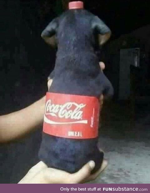 Coca cola