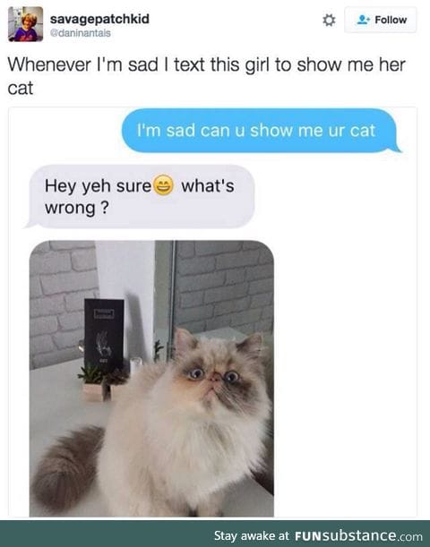 I want her cat