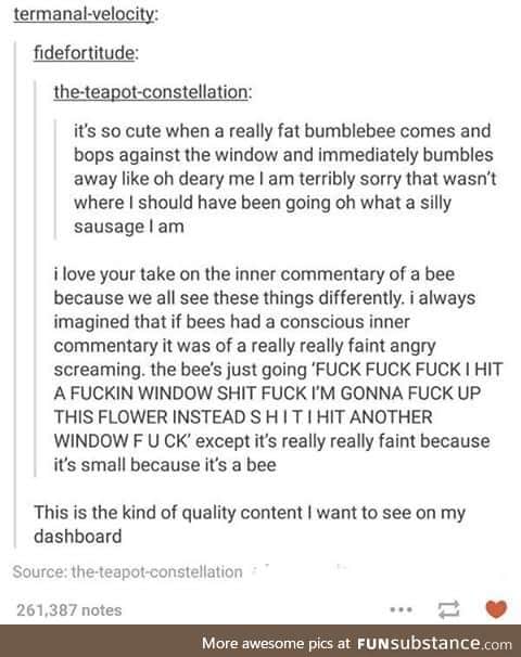 Fat bumblebees sound adorable